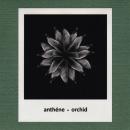 Anthene : Orchid [CD-R]