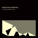 Pantha Du Prince : XI Versions Of Black Noise [CD]