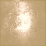 offthesky : Subtle Trees [CD]