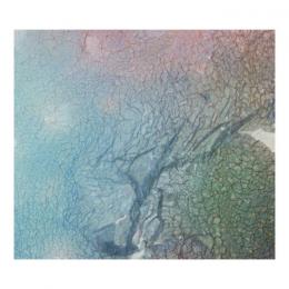 Field Lines Cartographer : Tone Maps [CD]