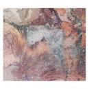 Humble Bee : Lichen Cloak On A White Stone [CD]