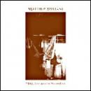 Matthew Mullane : VDSQ - Solo Acoustic Volume Four [LP]