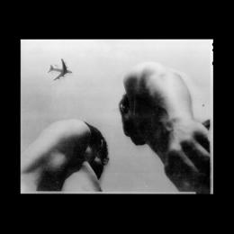 Eve Adams : Metal Bird [CD]