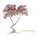 Visionary Hours : Still Point [CD-R]