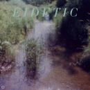 Benoit Pioulard : Eidetic [CD]