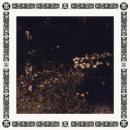 Sarah Davachi : Pale Bloom [CD]