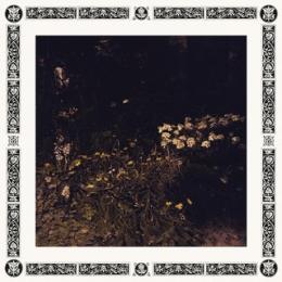 Sarah Davachi : Pale Bloom [CD]