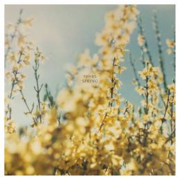 epic45 : Spring [CD]