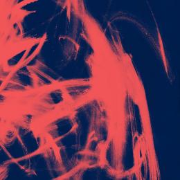 Rival Consoles : Landscape From Memory [CD]