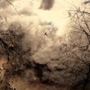 't Geruis : The Kindest Encounters [CD-R]