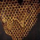 Telefon Tel Aviv : Map Of What Is Effortless [CD]