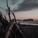 Human Is Alive & Warmth : Driftwood [CD-R]