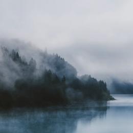 SVLBRD : Perception [CD-R]