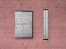 Tape Loop Orchestra : (ARTEFACTS (EQUATIONS (REPLICAS))) [Cassette Tape]