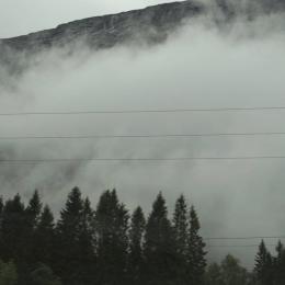 Julia Gjertsen & Gustav Davidsson : Wandering Mind, Drifting Weather [CD-R]
