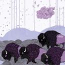 *shels : Plains Of The Purple Buffalo [CD]