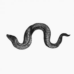 Hyunhye Seo : Eel [CD]