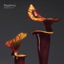 Daphni : FabricLive 93 [CD]