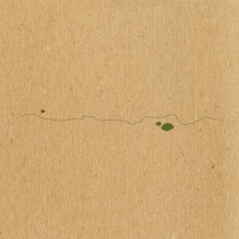 Taylor Deupree : Shoals (Edition) [7"]