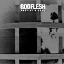 Godflesh : Decline & Fall [CDEP]