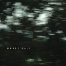 Whale Fall : S/T [CD-R]