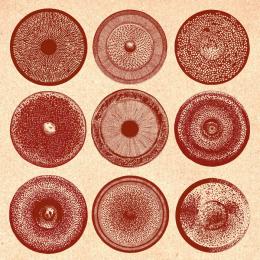 Ensemble Nist-Nah : Spilla [CD]