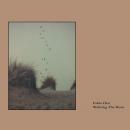 Fabio Orsi : Waltzing The Dune [CD]