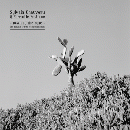 Sylvain Chauveau & Ensemble Nocturne : Down To The Bone (An Acoustic Tribute to Depeche Mode) [CD]
