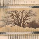 Adrian Lane : Where Once We Danced [CD-R]