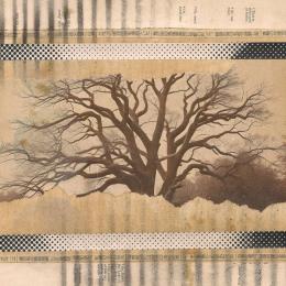 Adrian Lane : Where Once We Danced [CD-R]