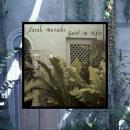 Sarah Davachi : Gave In Rest [CD]