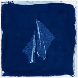 Fossil Hunting Collective : Cyanotype [CD-R]