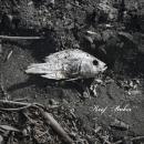 Keef Baker : Dry [CD]