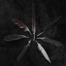 Caspian : Dust And Disquiet [CD]