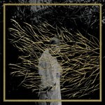 Forest Swords : Engravings [CD]