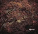 Fabio Orsi : Endless Autumn [CD]