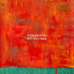 Why Bonnie : 90 In November [CD]
