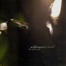Midsummer / Coastal : This Ageless Night [CD]