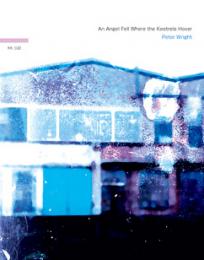 Peter Wright : An Angel Fell Where The Kestrel Hover [CD]