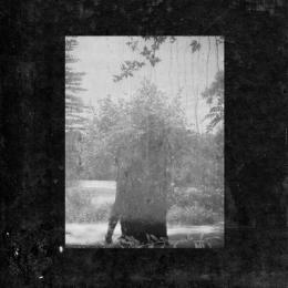 Grouper : Ruins [CD]