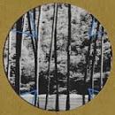 Four Tet : Lion / Peace For Earth [12"]