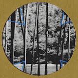 Four Tet : Lion / Peace For Earth [12"]