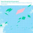 Peter Broderick & Ensemble 0 : Give It To The Sky : Arthur Russell's Tower Of Meaning Expanded [CD] 