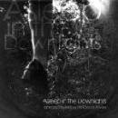 Hammock / Steve Kilbey / timEbandit Powles : Asleep In The Downlights [CDEP]