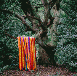 James Holden & The Animal Spirits : The Animal Spirits [CD]