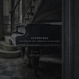 Antonymes : (For Now We See) Through A Glass Dimly [CD]