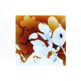 James Murray : Soundflowers [CD-R]
