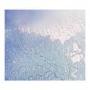 Observatories : Frost Forms [CD]