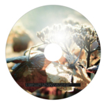 Segue : Into The Fall [CD-R]