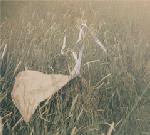 Peter Broderick & Machinefabriek : Blank Grey Canvas Sky [CD]